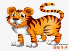 梦见小老虎好不好，女人梦见小老虎