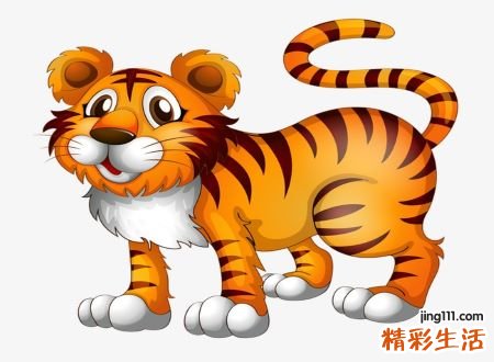 梦见小老虎好不好,女人梦见小老虎