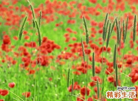 心痛绝望的网名，最伤心的心碎失落昵称