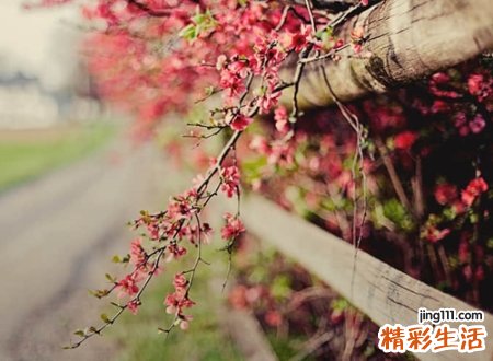 ins冷淡风网名，好听高端的简约ins昵称