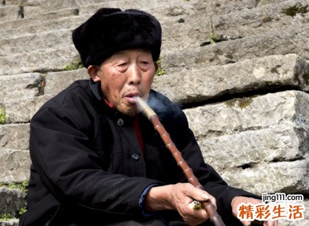 1956年属猴的是什么命