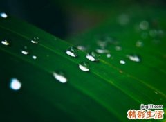 看透人性凉薄的孤独网名，感悟社会现实的经典微信名字
