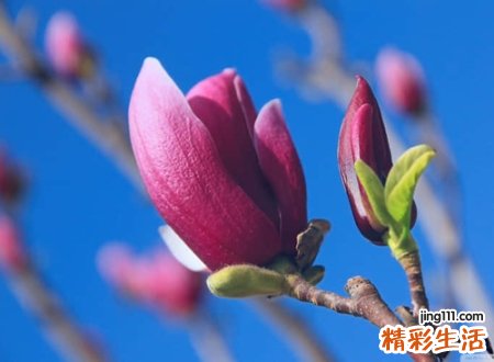 孤独的微信名，一个人疲惫软弱的伤心微信网名