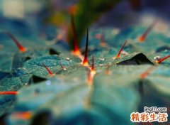 超级虐心的古风名字，催泪哭到心窝的伤感网名