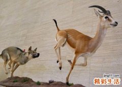 梦见被追赶是什么意思，女人梦见被别人追赶
