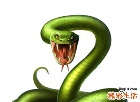 梦见被蛇咬伤是什么意思，做梦梦到被蛇咬伤出血