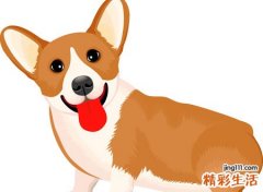 梦见被狼狗咬好吗，做梦梦到狼狗扑上来咬我