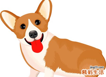 梦见被狼狗咬好吗，做梦梦到狼狗扑上来咬我
