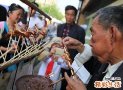 1959年的猪是什么命