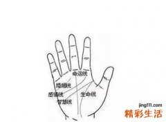 手相解读：生命线短，命运线长