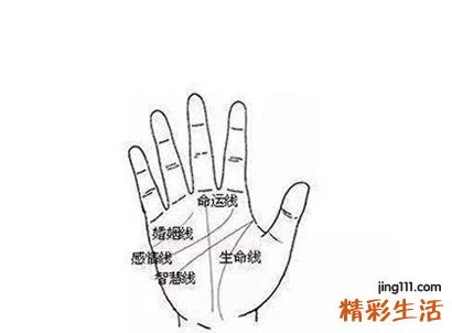 手相解读：生命线短，命运线长