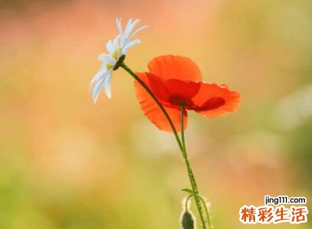1998年什么命