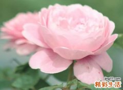 复古有深意的简短网名，心灵宁静的另类微信名字