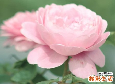 复古有深意的简短网名，心灵宁静的另类微信名字
