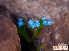 幽默有内涵的微信网名，让你爆笑的奇葩名字