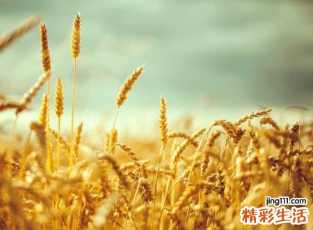 满是遗憾的伤感昵称，心碎伤心的快手网名
