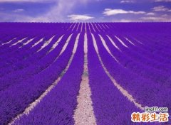心痛心酸绝望的昵称，心碎伤心还逞强的坚强网名
