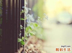 日系元气网名，皮一点又蛮可爱的二次元昵称