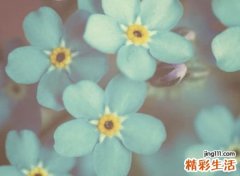 高雅有内涵的微信名字，独一无二的唯美微信网名
