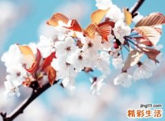 乐观开朗好听的励志网名，让自己坚强的积极向上昵称