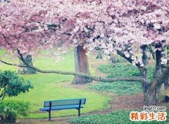 心情失落的古风名字，失落低迷的伤感意境网名