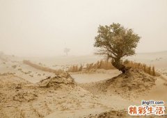 梦见风沙有什么预兆，女人梦见风沙扑面而来