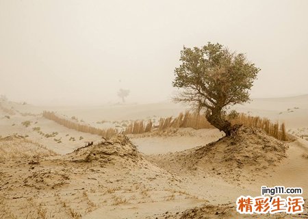 梦见风沙有什么预兆，女人梦见风沙扑面而来