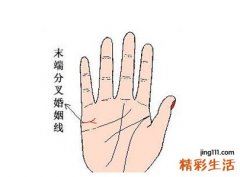 婚姻线末端分叉是什么意思