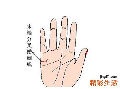婚姻线末端分叉是什么意思