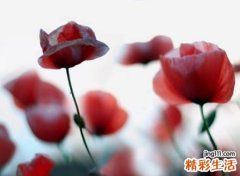 很有意境的唯美昵称，心醉简约有意境的微信网名