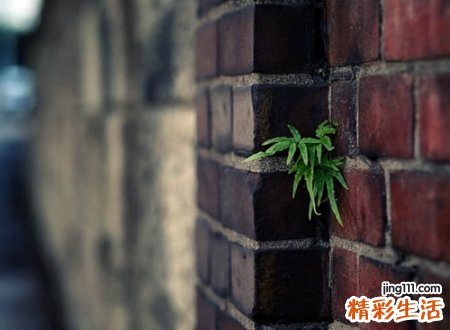 催泪虐心的古风忧伤名字，凄凉忧郁黑暗系唯美网名