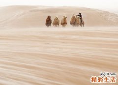 梦见风沙好不好，做梦梦到风沙吹进屋