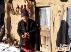 1941岁属什么生肖