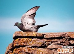 有文化内涵又高雅的网名，和睦相处的微信温柔昵称