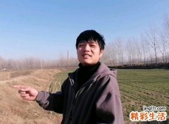 属兔的命运如何