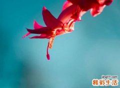 温柔又嚣张的任性网名，简单大方的qq个性名字