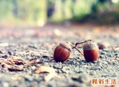 成熟稳重有气质的内涵网名，简单低调的微信昵称