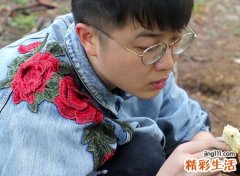 属牛的人性格特点