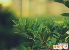 非常失望难过心寒的伤感昵称，压抑憋屈的坏心情网名