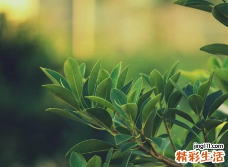 非常失望难过心寒的伤感昵称，压抑憋屈的坏心情网名