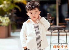 2016年猴是什么命