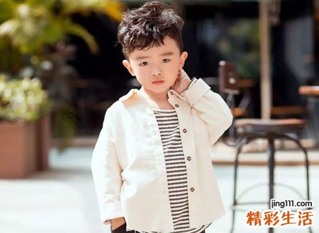 2016年猴是什么命