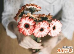 1981年属鸡的命中再婚吗