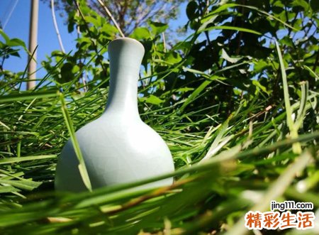 玉净瓶寓意