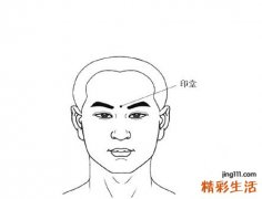印堂是哪里