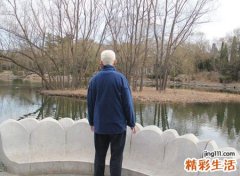 1944年属什么生肖