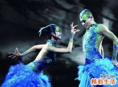 孔雀男是什么意思