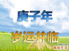 庚子年是什么意思