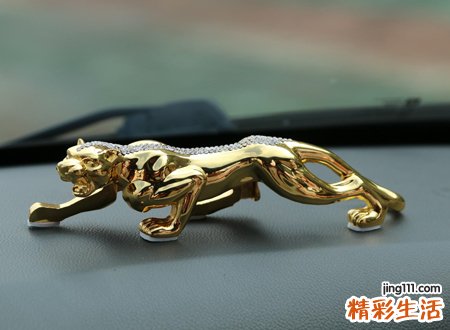哪个属相不能摆金钱豹