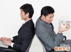 属鼠的和什么属相不合